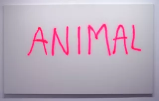 Animal, Dessin, 2000, Pierre Ardouvin