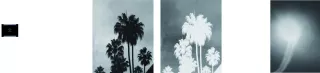 The Preview was Tomorrow, Photographies, 2007, Pierre-Olivier Arnaud