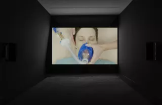 Reproductive Exile, 2018, Lucy Beech