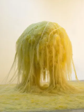Patman, 2006, Michel Blazy