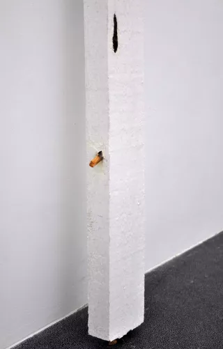 Le Lit, 2009, Katinka Bock