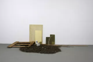 Oursin Fossile, Installation, 2008, Sophie Bueno-Boutellier