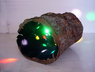 Untitled (Log with Model of the Universe), 2005, Peter Coffin