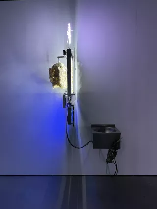 TAFAA - FERTILITY DEVICE (NUDGE FOR THE SCAPEGOAT), Installation, 2021,Chloé Delarue