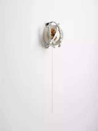 WE, 2015, David Douard
