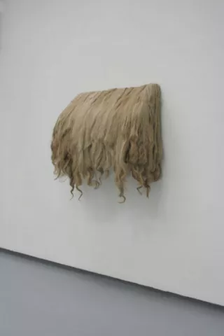Hotte, 2007, Sophie Dubosc