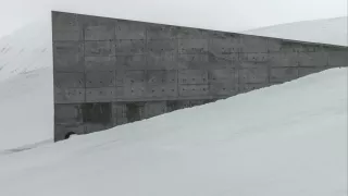 La Mesure végétale, 2015, Fabien Giraud