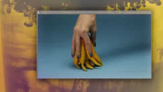 Grosse fatigue, Vidéo, 2013, Camille Henrot