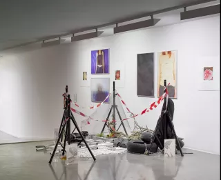 Virginia Ham, Installation, 2011, Morag Keil