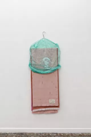 Phoenix, 2013, Liz Magor