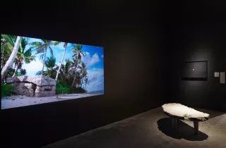 Nauru, Notes from a Cretaceous World, 2009, Nicholas Mangan