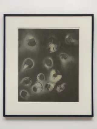 Spores 3, Dessin, 2017, Jean-Luc Moulène