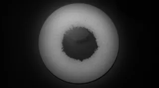 Black Moon, 2013, Sinziana Ravini