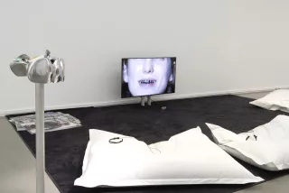 Teeth, gums, machines, future, society , 2016, Lili Reynaud Dewar