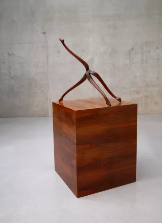 Untitled (legs) #09, 2009, Markus Schinwald