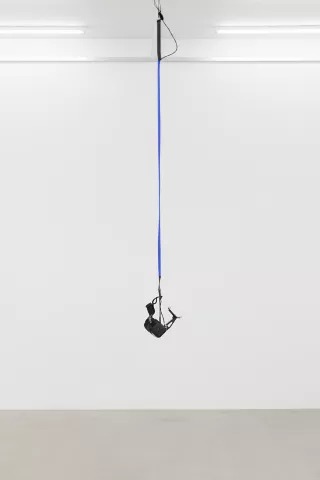Phantom (Kingdom of all the animals and all the beasts is my name), 2015, Daniel Steegmann Mangrané