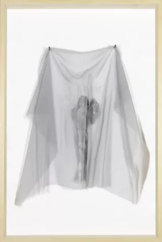 APPOLO, Dessin, 1998, Jean-Luc Verna