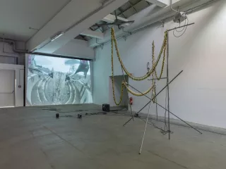 I Smell a Massacre, Installation vidéo, 2016, Raphaela Vogel