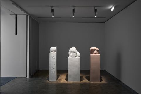 TORSO I, II, III | Lafayette Anticipations