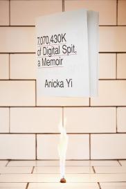Anicka Yi, 7,070,430K of Digital Spit