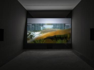 Lucy Beech, Reproductive Exile, 2018. Vue de l’installation, Lafayette Anticipations – Fondation d’entreprise Galeries Lafayette, 2018. Film commandé par Lafayette Anticipations, Paris ; De La Warr Pavillon, Bexhill-on-Sea ; et Tramway, Glasgow.