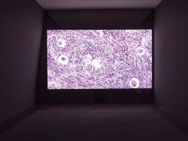 Lucy Beech, Reproductive Exile, 2018. Vue de l’installation, Lafayette Anticipations – Fondation d’entreprise Galeries Lafayette, 2018. Film commandé par Lafayette Anticipations, Paris ; De La Warr Pavillon, Bexhill-on-Sea ; et Tramway, Glasgow.