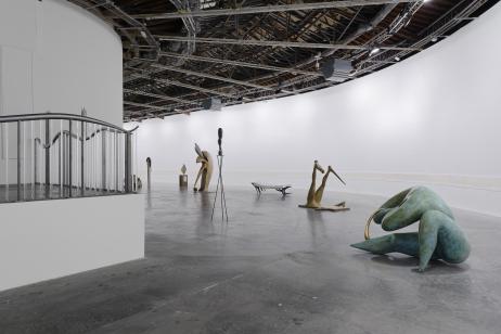 Exhibition view of <i>Days are Dogs</i> and <i>Garde-Fou</i>, "Carte Blanche" to Camille Henrot, Palais de Tokyo (18.10.2017 – 07.01.2018) © Aurélien Mole